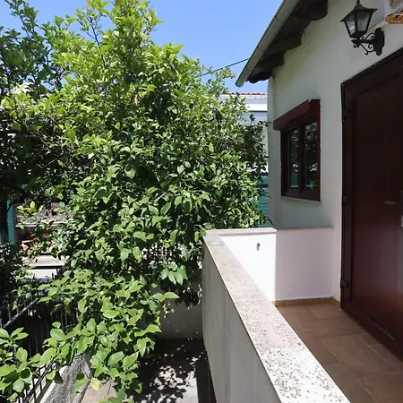 Apartment Mayol House